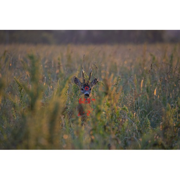 GPO Jumelles RANGEGUIDE 2800 8×50 noires