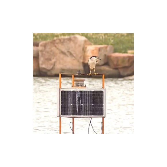 Télescope réfracteur triplet apochromatique SeeStar S50