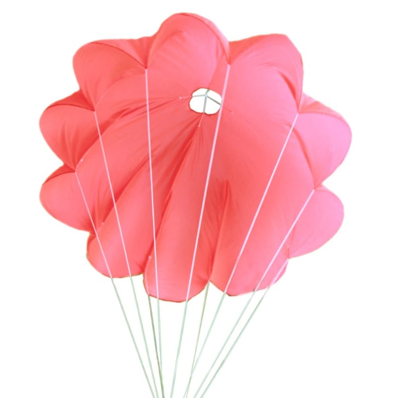Kit de sondes pour petits ballons... Kit de sondes pour petits ballons...