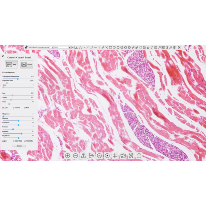 TOUPTEK ToupCam XCAMLITE1080P Caméra... TOUPTEK ToupCam XCAMLITE1080P Caméra...