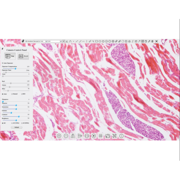 TOUPTEK ToupCam XCAMLITE1080P Caméra A, couleur, CMOS, 1/2.8", 2.9µm, 60fps, 2 MP, HDMI