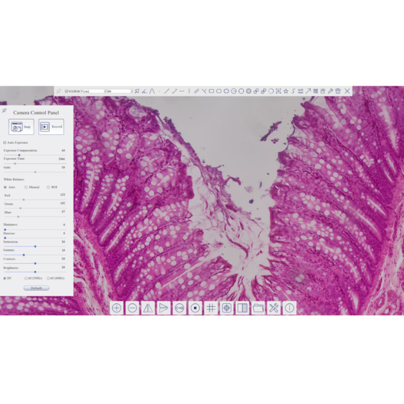 TOUPTEK ToupCam XCAMLITE4K 8MPA...