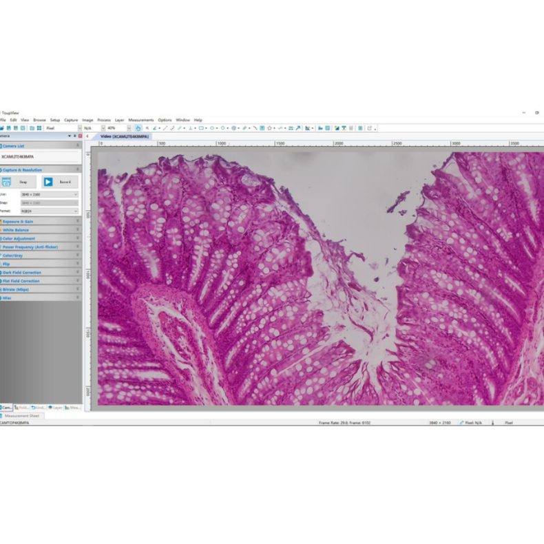TOUPTEK ToupCam XCAMLITE4K 8MPA...