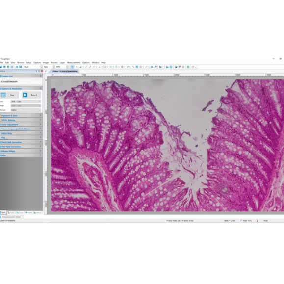 TOUPTEK ToupCam XCAMLITE4K 8MPA caméra, couleur, CMOS, 1/1.8", 2 µm, 30/20 fps, 8 MP, HDMI/USB