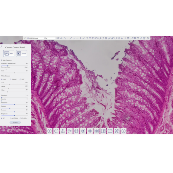 TOUPTEK ToupCam XCAMLITE4K 8MPB caméra, couleur, CMOS, 1/1.2", 2.9 µm, 30/20 fps, 8 MP, HDMI/USB 3.0