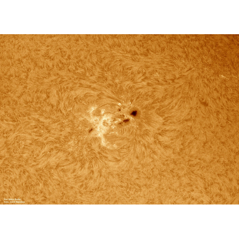 Filtre solaire LUNT H-Alpha LS100FHa... Filtre solaire LUNT H-Alpha LS100FHa...