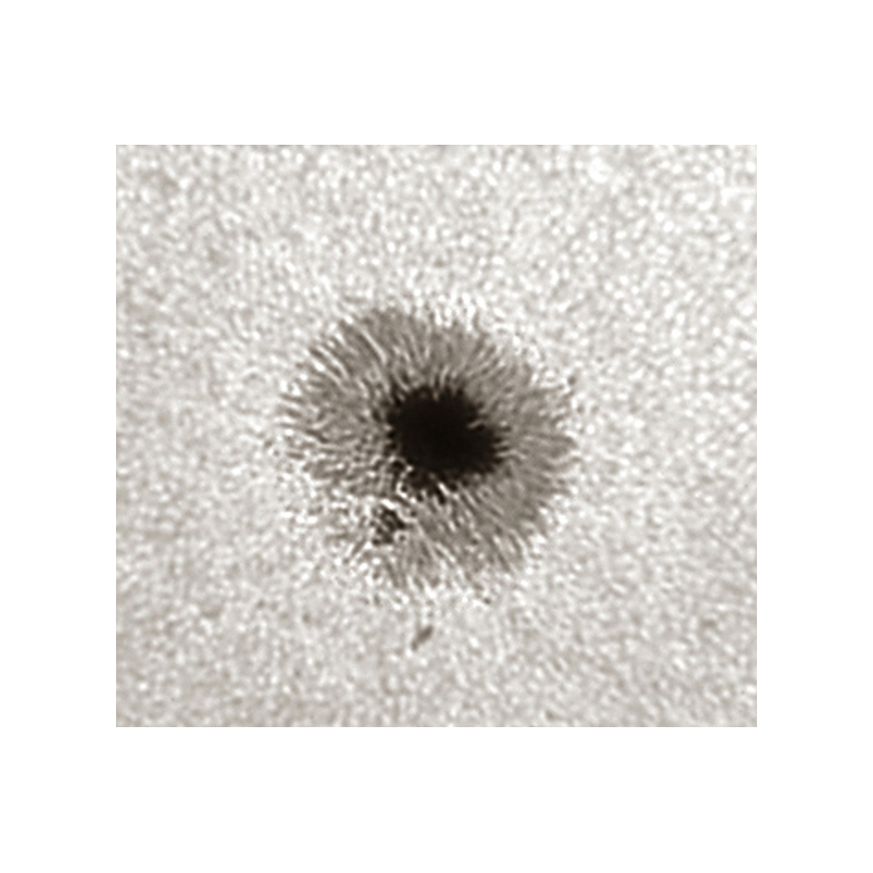 Herschel LUNT LS1.25HW prisme 50,8mm... Herschel LUNT LS1.25HW prisme 50,8mm...