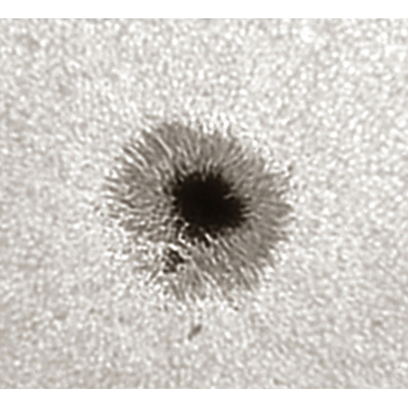 Herschel LUNT LS1.25HW prisme 50,8mm (2'')