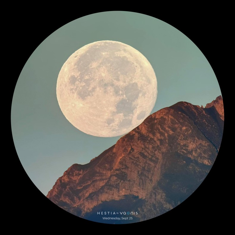 Télescope VAONIS Hestia Smart... Télescope VAONIS Hestia Smart...