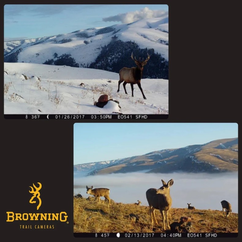 Cámara de trampeo Strike Force Pro x... Cámara de trampeo Strike Force Pro x...