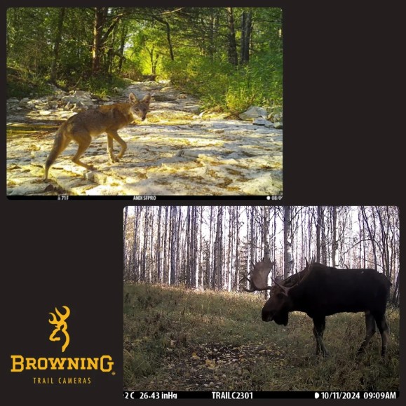 Caméra de piégeage Dark Ops Pro X 1080 BROWNING