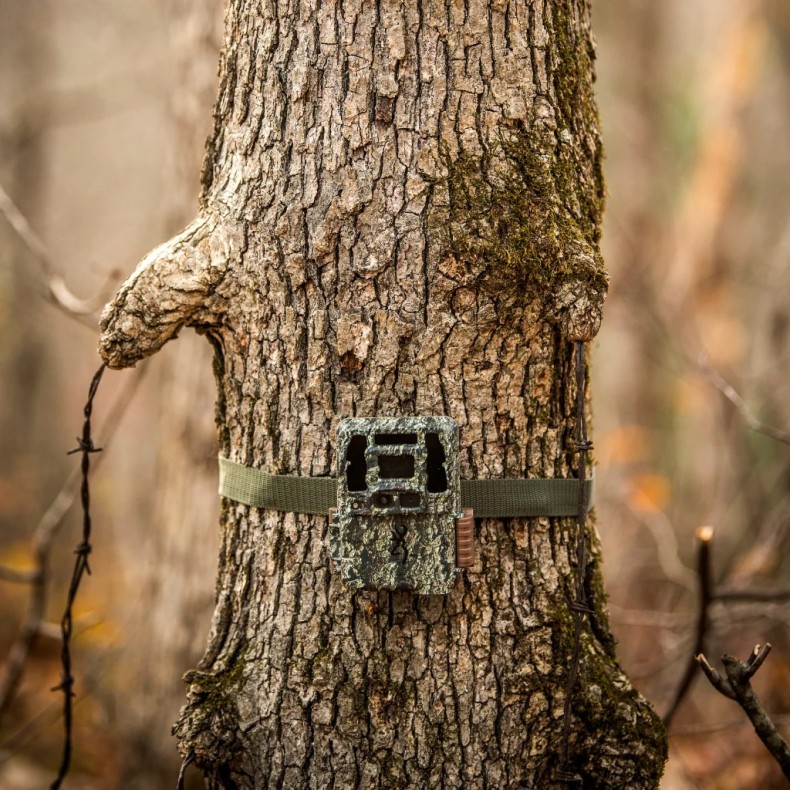 Cámara de trampeo Dark OPS Pro DCL...