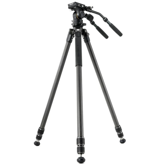 Kit VANGUARD Alta Pro 3VL 303CV18 - trépied vidéo en carbone, rotule VEO PV-18