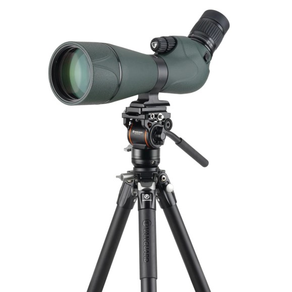 Kit VANGUARD Alta Pro 3VL 264AV14 - trépied vidéo en aluminium, tête VEO PV-14