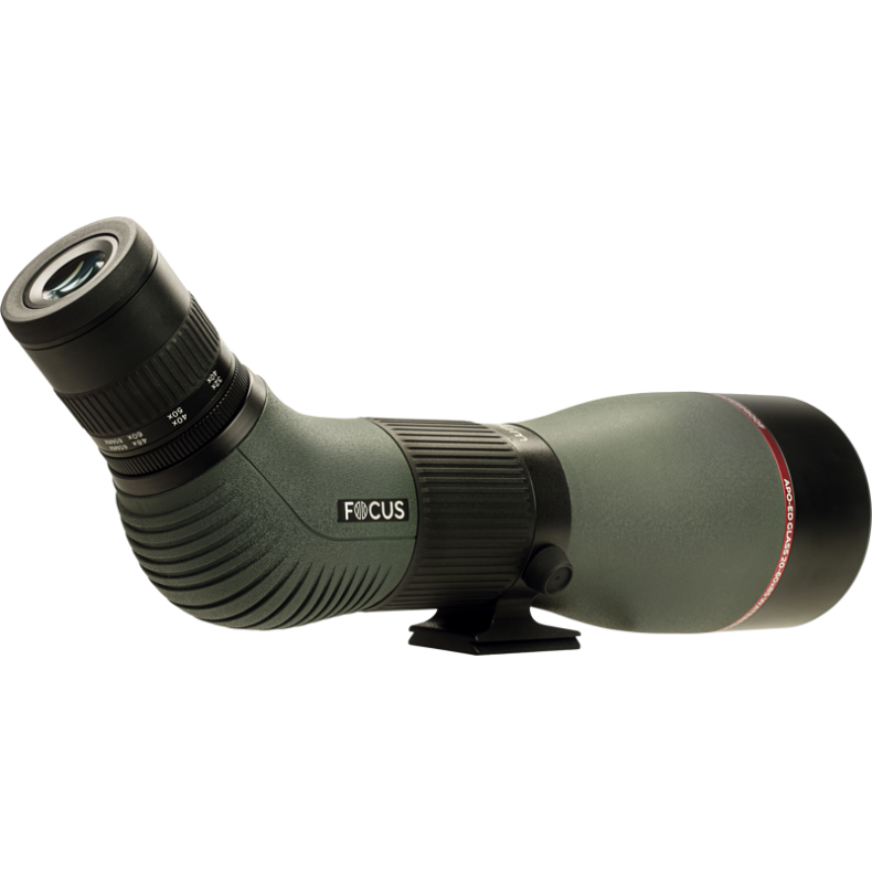 Télescope terrestre FOCUS Optimum ED...