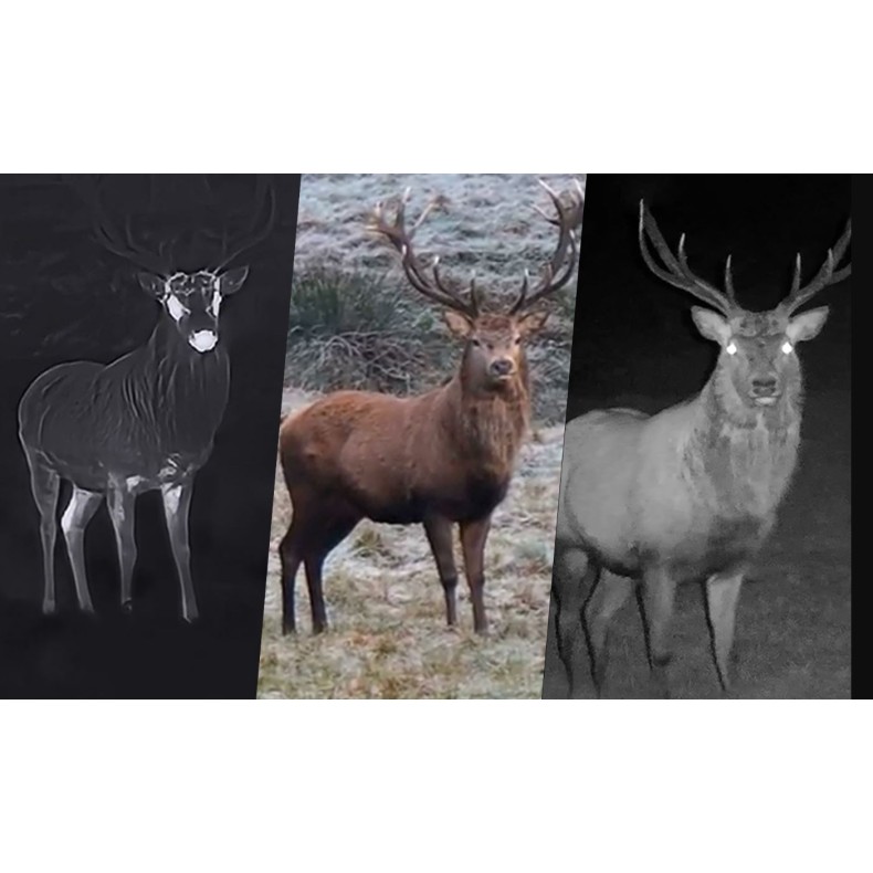 Jumelles thermiques multi-spectres...