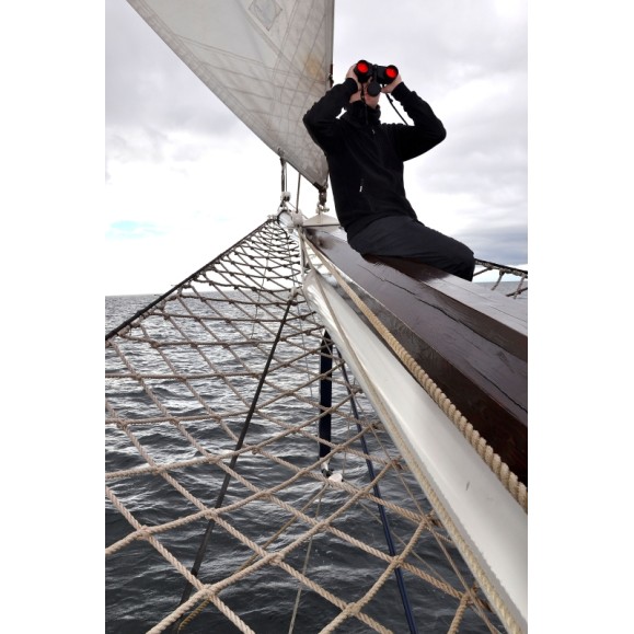 Jumelles BRESSER Nautic 7x50 WD avec boussole