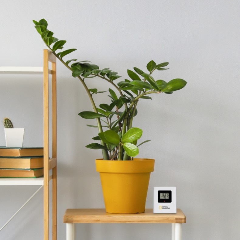 Station météo LCD couleur NATIONAL...