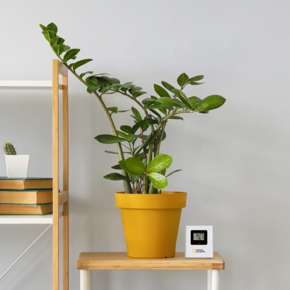 Station météo LCD couleur NATIONAL GEOGRAPHIC VA avec 3 capteurs