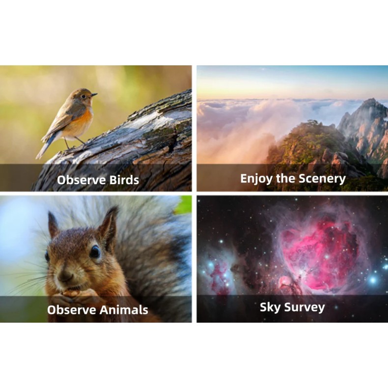 Jumelles géantes APO Sky Rover 150 mm...