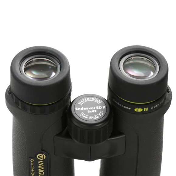Vanguard Jumelles Endeavor ED II 8420