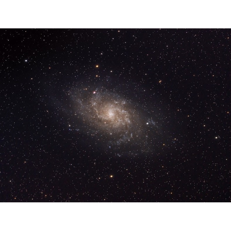 Celestron Télescope Astographe...