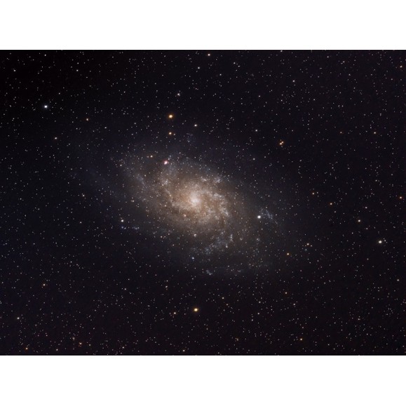 Celestron Télescope Astographe Télescope Astrographe Rowe-Ackerman Schmidt 11