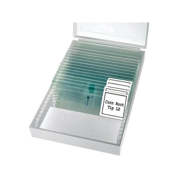 Bresser Microscope Biolux HD NV 20-1280x 5116200